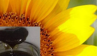 Куплю фуз подсолнечного масла по выгодным условиям