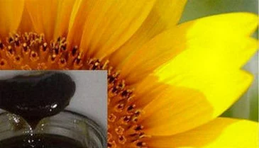 Закупка фуз подсолнечного масла в Одессе