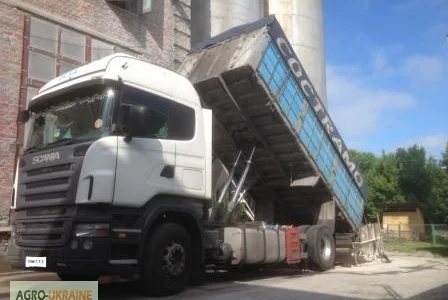 Услуги зерновозов самосвалов Даф в Киеве