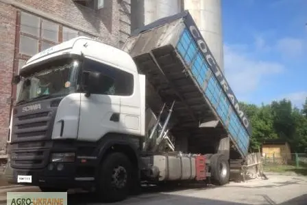 Услуги зерновозов самосвалов Даф