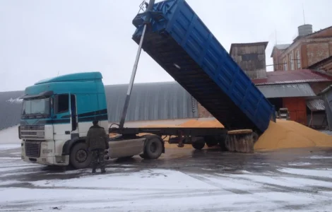 Самосвальные зерновозы для агроперевозок. Жнива 2024