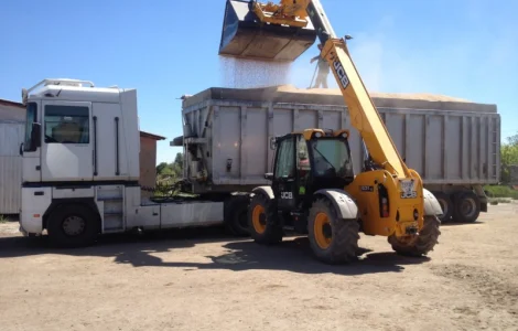 Профессиональное перевезение зерна в Сумах