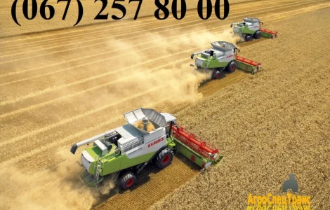 Claas