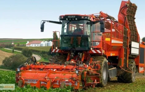 Уборка сахарной и кормовой свеклы комбайнами HOLMER