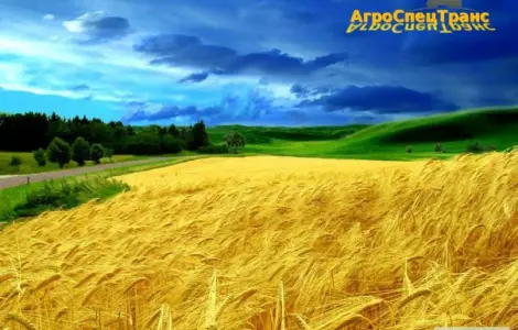 Оренда сільськогосподарської техніки на збирання зернових культур