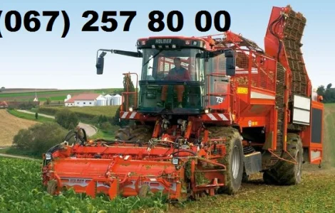 Послуги збирання цукрових та кормових буряків