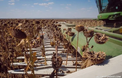 Уборка урожая: соя, подсолнечник, кукуруза, лен в г. Херсон