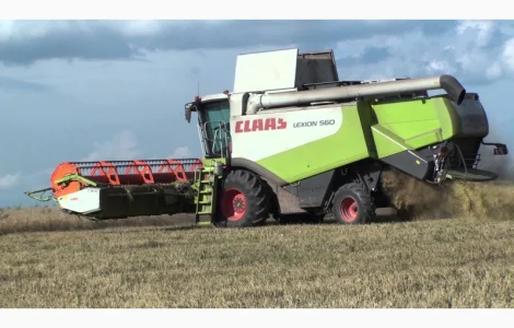 Услуги по уборке урожая подсолнуха сои кукурузы