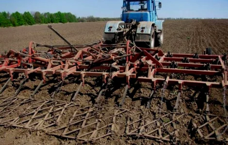 Требуются услуги культивации земли на 2000 га