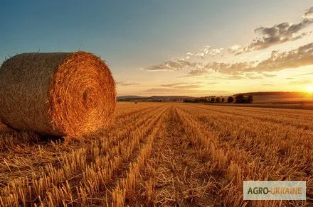 Требуется пресс-подборщик для тюкования соломы