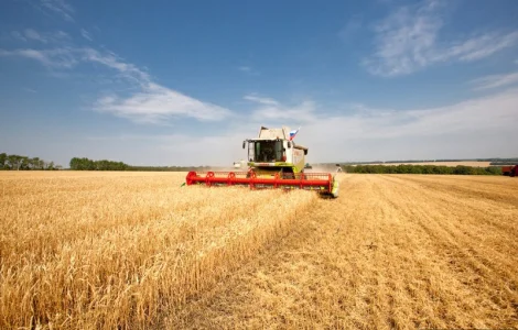 Услуги уборки урожая комбайнами в Кропивницком