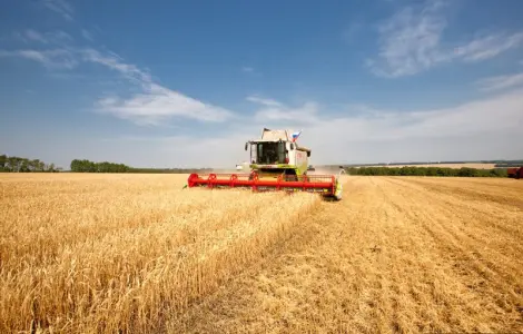 Услуги уборки урожая по Украине комбайнами
