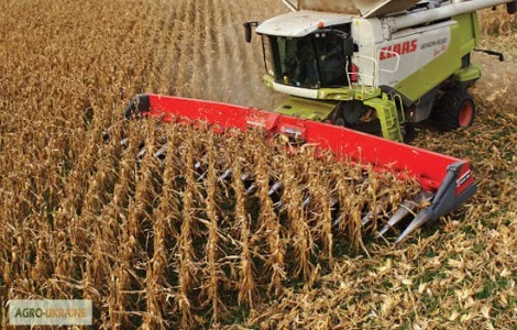 Уборка урожаю соняшнику, сої та кукурудзи в Києві