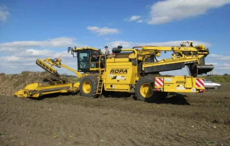 Погрузка цукрових буряків навантажувачем ROPA