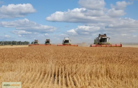 Услуги уборки урожая с использованием современных комбайнов
