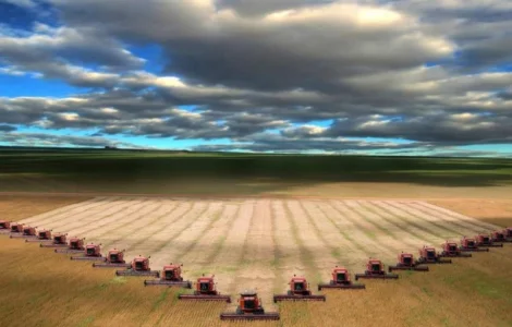 Послуги збирання зернових комбайнами CLAAS