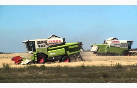 Уборка сільгоспкультур комбайнами у Києві