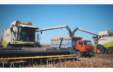 Послуги по уборке урожая комбайнами подсолнечника сои кукурузы Хмельницкий Сумы Украина