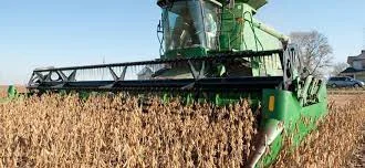 Уборка урожая: соя, лен, подсолнечник, кукуруза в г. Горохов