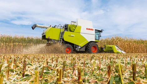 Уборка урожаю сої, соняшника, кукурудзи та льону в Миколаєві