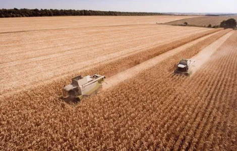 Уборка соняшника, сої, кукурудзи та льону у Варві