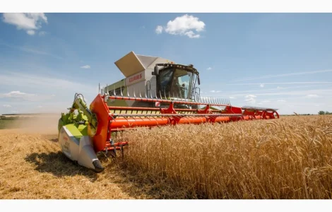 Услуги аренда комбайна Луцк уборка зерновых сои подсолнечника кукурузы Ковель негабарит