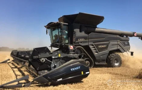 20 га зерновых в Новоалексеевке Херс.