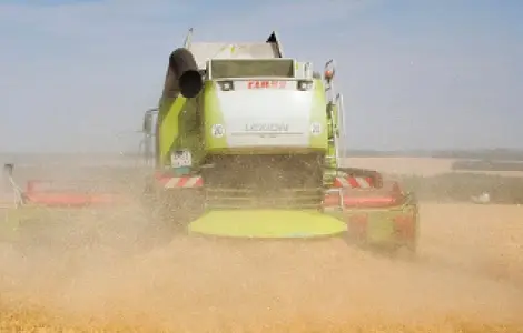 Уборка кукурузи соняшника соняшника льону сої Ладижин Вінниця Липовець Літин Немирів