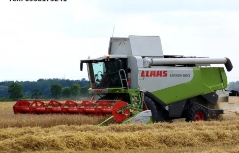 Уборка урожая 2024 года комбайнами Claas Lexion 600