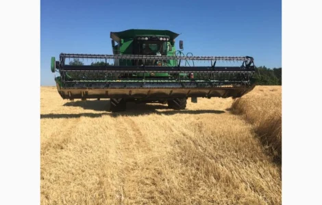 Услуги по сбору урожая пшеницы