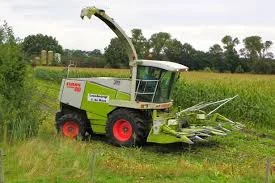 Услуги комбайна Ягуар для заготовки кукурузы