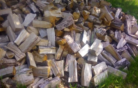 Продам дубові дрова від виробника 20 кубів