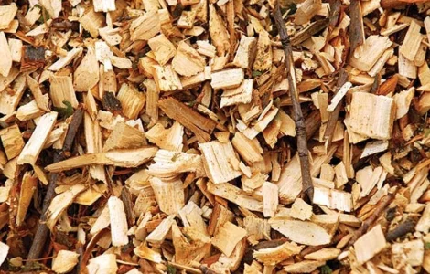 Закупаем древесную щепу. Покупаем отходы пилорам древесные