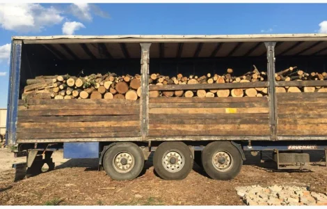 Продам в больших количествах дрова твердых пород и дрова фруктовые