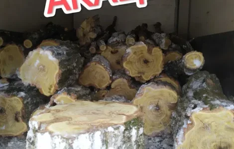 Продажа дров акации