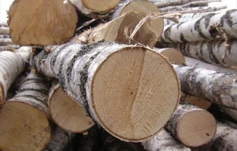 Продаються дрова берези в Чернігові