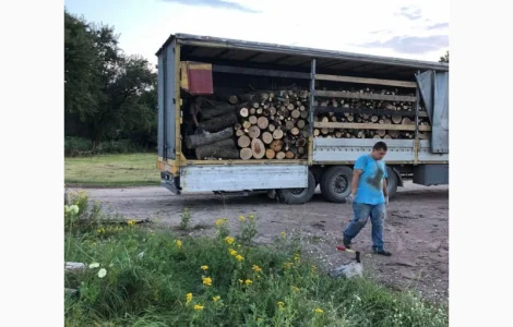 Дрова с доставкой в Киев