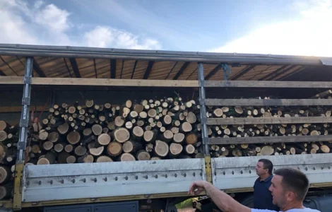 Дрова Хотяновка