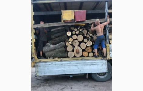 Дрова для опалення в Пуховці