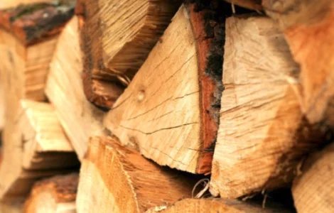 Дрова дубовые