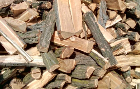 Дрова акації – доставка від 3 до 35 М³