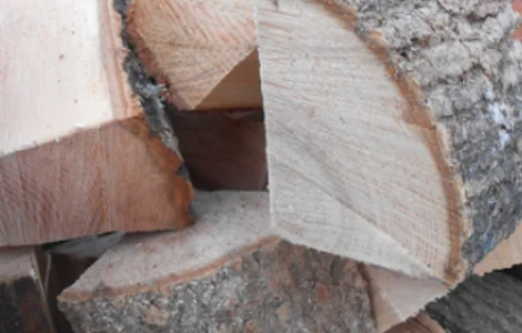 Дрова ясеня