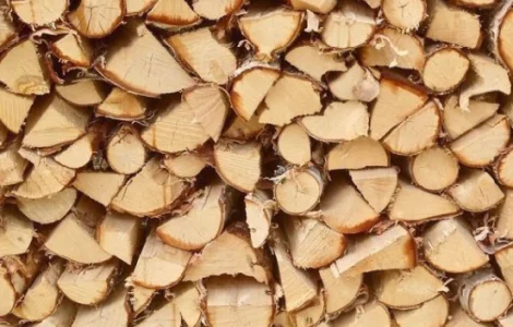 Дрова Борисполь