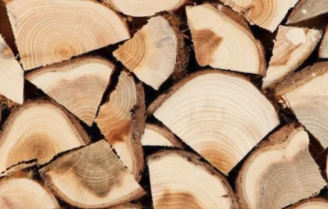 Дрова с доставкой в Киев и область