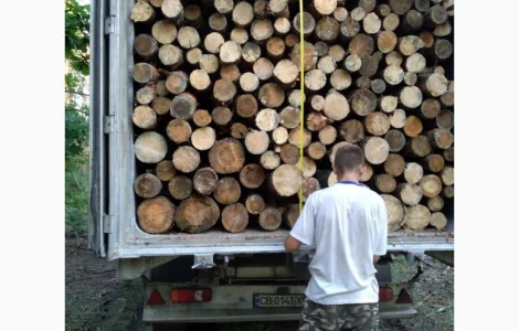 Дрова Барышевка