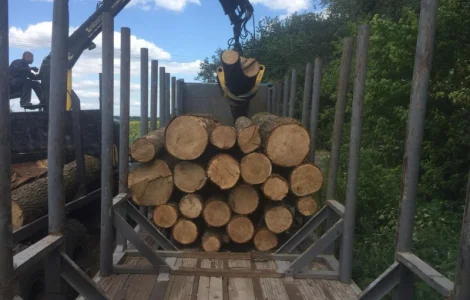 Дрова с доставкой в Киев
