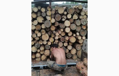 Дрова с доставкой в Киевскую область