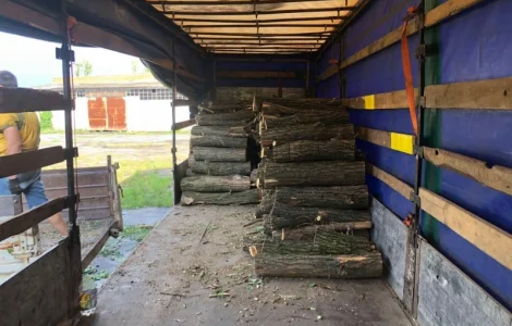 Дрова с доставкой в Киев