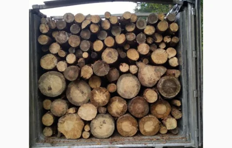 Дрова з доставкою до Києва