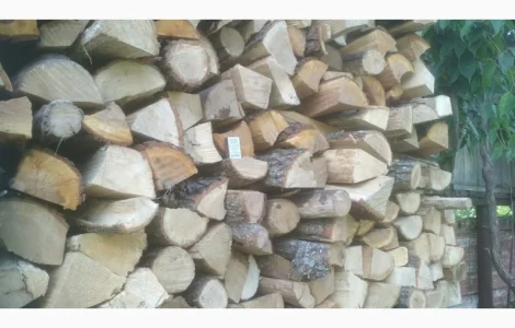 Дрова для бані з доставкою